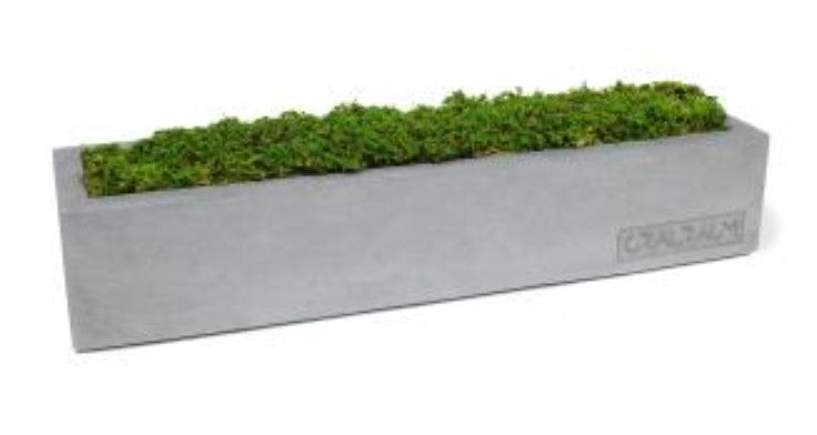 Moosbox Marta aus Beton mit echtem Naturmoos, handgefertigt in Leipzig – Beton-Harmonie