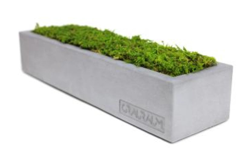 Moosbox Marta aus Beton mit echtem Naturmoos, handgefertigt in Leipzig – Beton-Harmonie