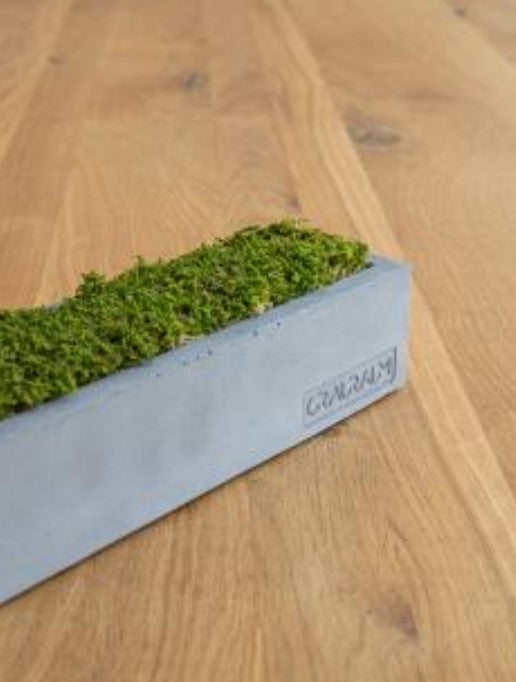 Moosbox Marta aus Beton mit echtem Naturmoos, handgefertigt in Leipzig – Beton-Harmonie